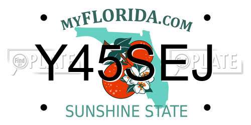 Y45SEJ Florida License Plate