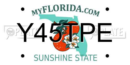 Y45TPE Florida License Plate