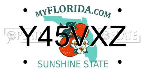 Y45VXZ Florida License Plate
