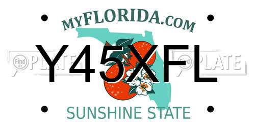 Y45XFL Florida License Plate
