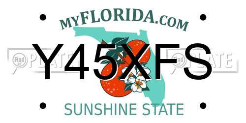 Y45XFS Florida License Plate