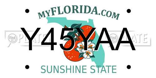 Y45YAA Florida License Plate