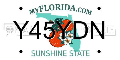 Y45YDN Florida License Plate