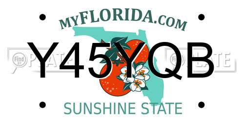 Y45YQB Florida License Plate