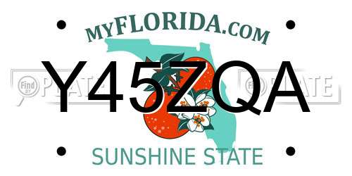 Y45ZQA Florida License Plate