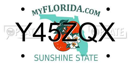 Y45ZQX Florida License Plate