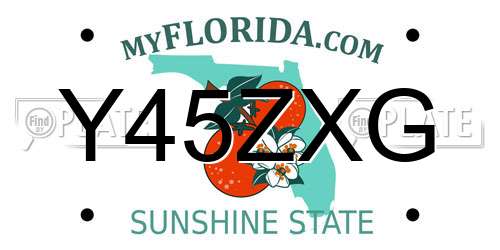 Y45ZXG Florida License Plate