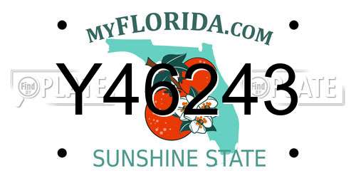 Y46243 Florida License Plate