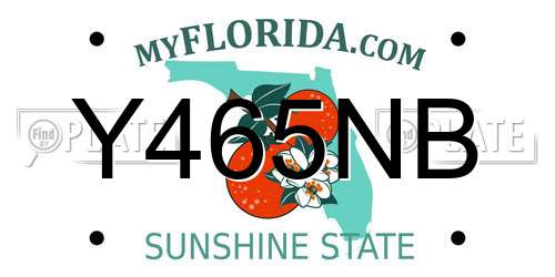 Y465NB Florida License Plate