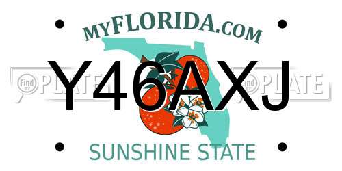 Y46AXJ Florida License Plate