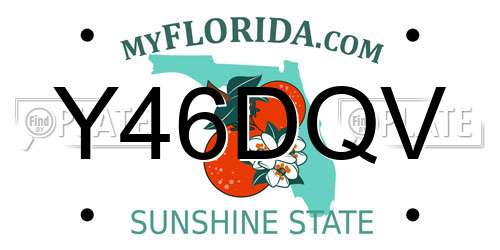 Y46DQV Florida License Plate