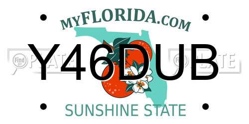 Y46DUB Florida License Plate