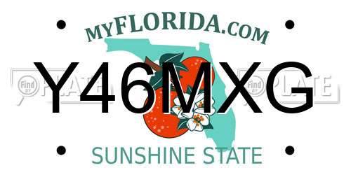 Y46MXG Florida License Plate