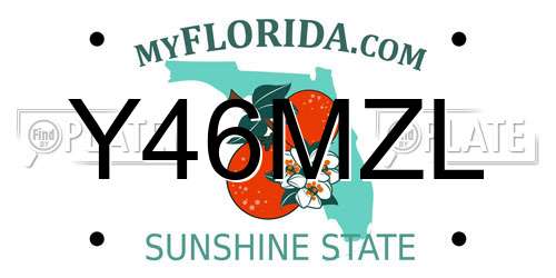 Y46MZL Florida License Plate