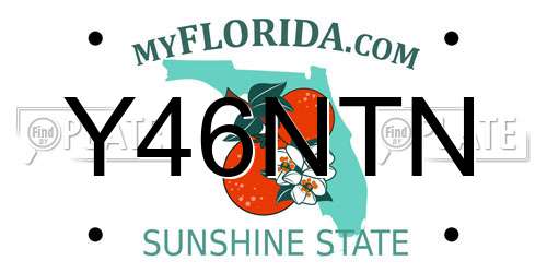 Y46NTN Florida License Plate