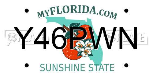 Y46PWN Florida License Plate