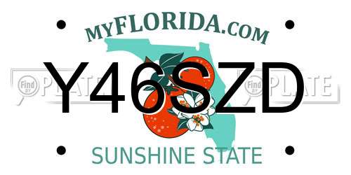 Y46SZD Florida License Plate