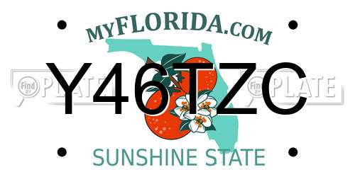 Y46TZC Florida License Plate