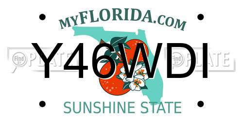 Y46WDI Florida License Plate