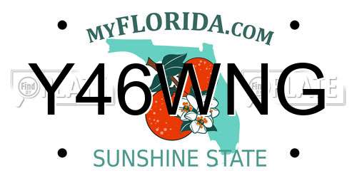 Y46WNG Florida License Plate