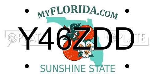 Y46ZDD Florida License Plate