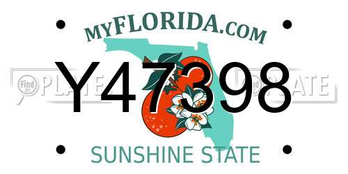 Y47398 Florida License Plate