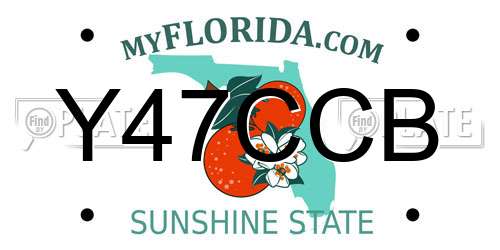 Y47CCB Florida License Plate