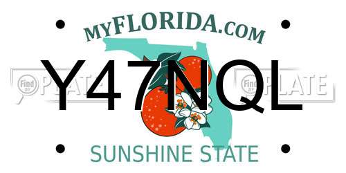 Y47NQL Florida License Plate