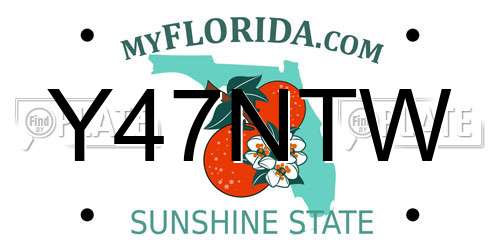 Y47NTW Florida License Plate