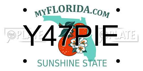 Y47PIE Florida License Plate