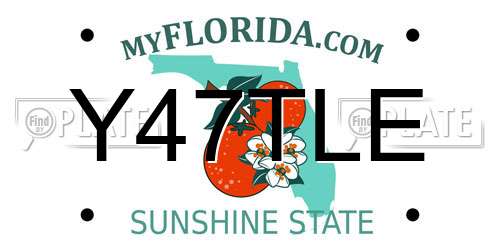 Y47TLE Florida License Plate