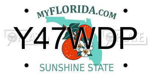 Y47WDP Florida License Plate