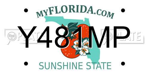 Y481MP Florida License Plate