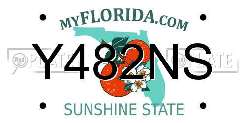 Y482NS Florida License Plate