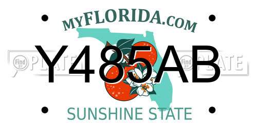 Y485AB Florida License Plate