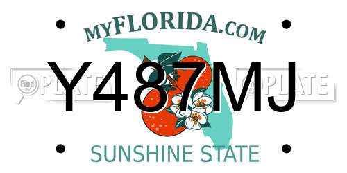 Y487MJ Florida License Plate