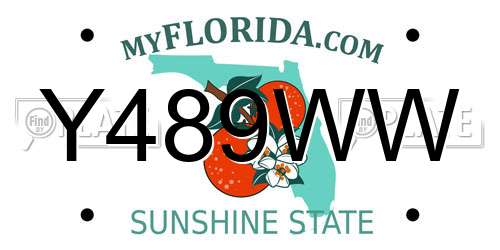 Y489WW Florida License Plate