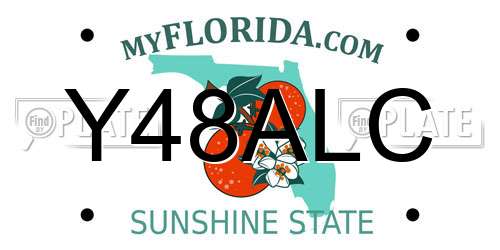 Y48ALC Florida License Plate