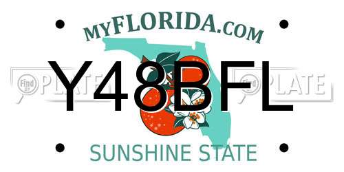 Y48BFL Florida License Plate