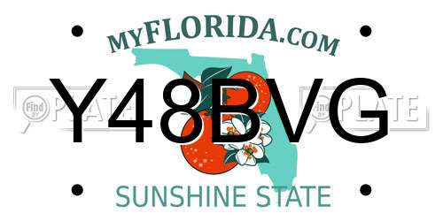 Y48BVG Florida License Plate