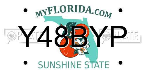 Y48BYP Florida License Plate