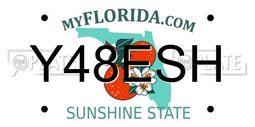 Y48ESH Florida License Plate