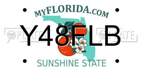 Y48FLB Florida License Plate