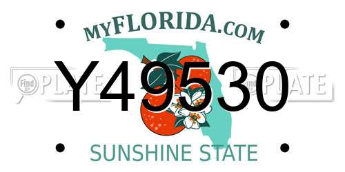 Y49530 Florida License Plate