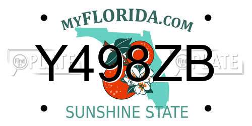 Y498ZB Florida License Plate
