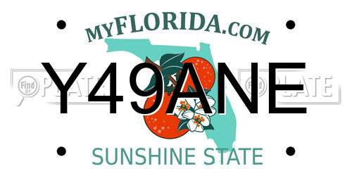 Y49ANE Florida License Plate