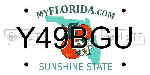Y49BGU Florida License Plate