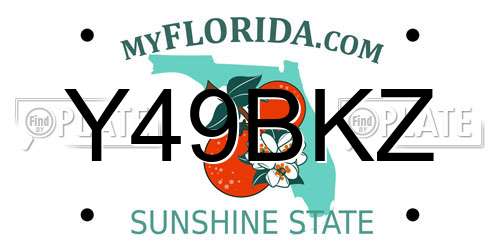 Y49BKZ Florida License Plate