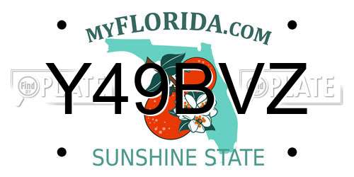 Y49BVZ Florida License Plate