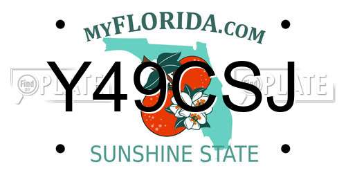 Y49CSJ Florida License Plate